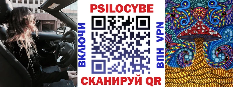 Псилоцибиновые грибы Psilocybine cubensis  Купить где  Снежногорск 